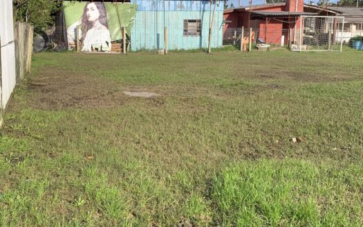 DOIS TERRENO 10x30m